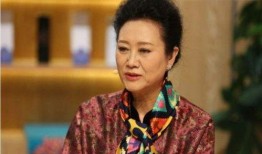 王丽云爆料最新视频播放,揭秘幕后故事与精彩瞬间